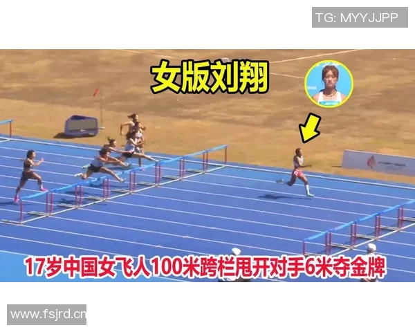 奥运会跨栏选手栏间步伐数与成绩波动之间的关系及其影响因素研究