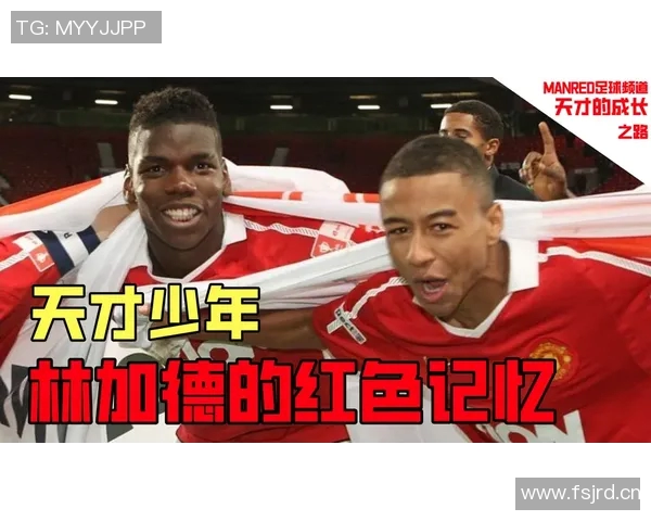 猛龙背后的故事：从少年到巨星之路